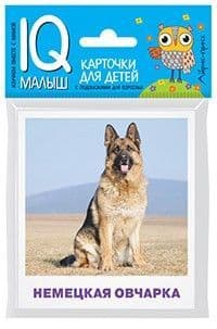 Умный малыш. Породы собак Набор карточек для детей. - купить в магазине Кассандра, фото, 9785811268054, 