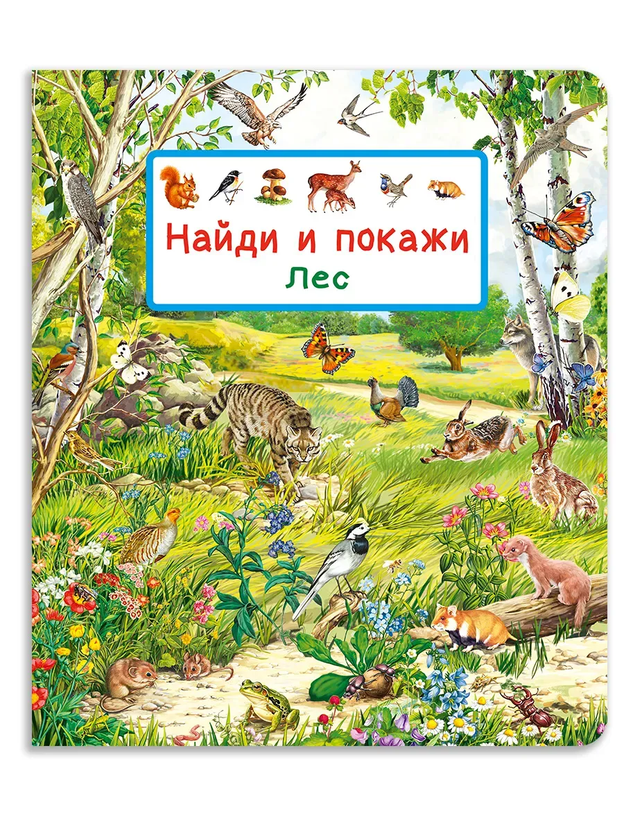 Найди и покажи. Лес - купить в магазине Кассандра, фото, 9785465048279, 