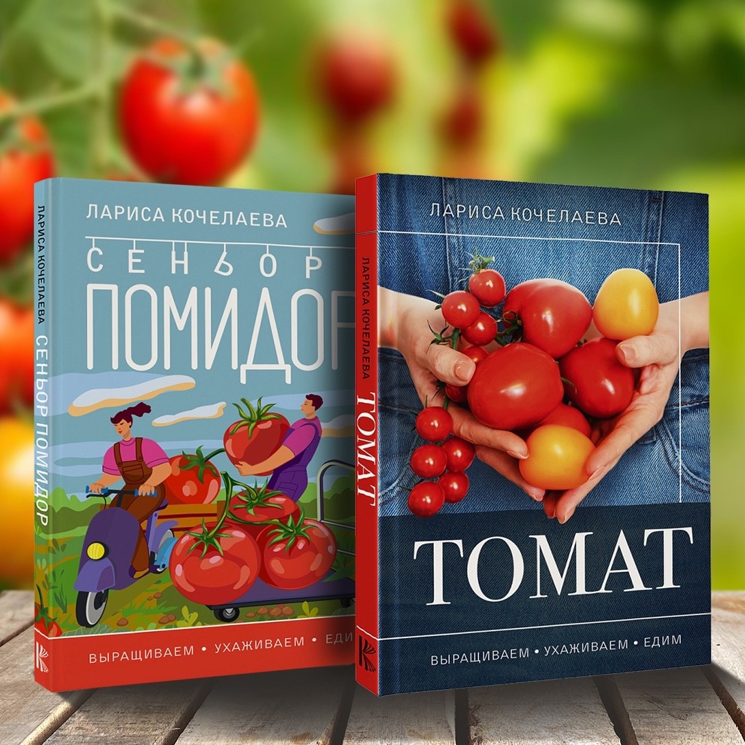 Открыт предзаказ: «Томат» и «Сеньор-помидор» 🍅 Открыт предзаказ: «Томат» и «Сеньор-помидор» 🍅