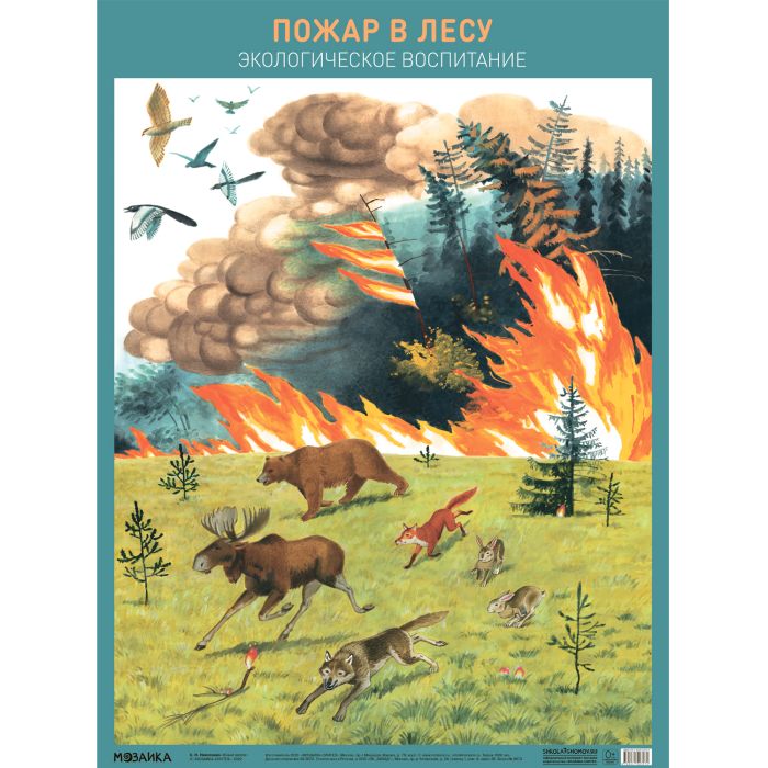 Плакат.Пожар в лесу - купить в магазине Кассандра, фото, 9785431527074, 