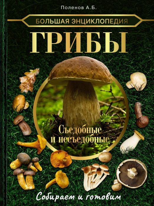 Большая энциклопедия. Грибы. Съедобные и несъедобные. Собираем и готовим. - купить в магазине Кассандра, фото, 9785171495602, 