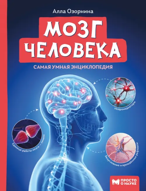 Мозг человека: самая умная энциклопедия - купить в магазине Кассандра, фото, 9785222451458, 