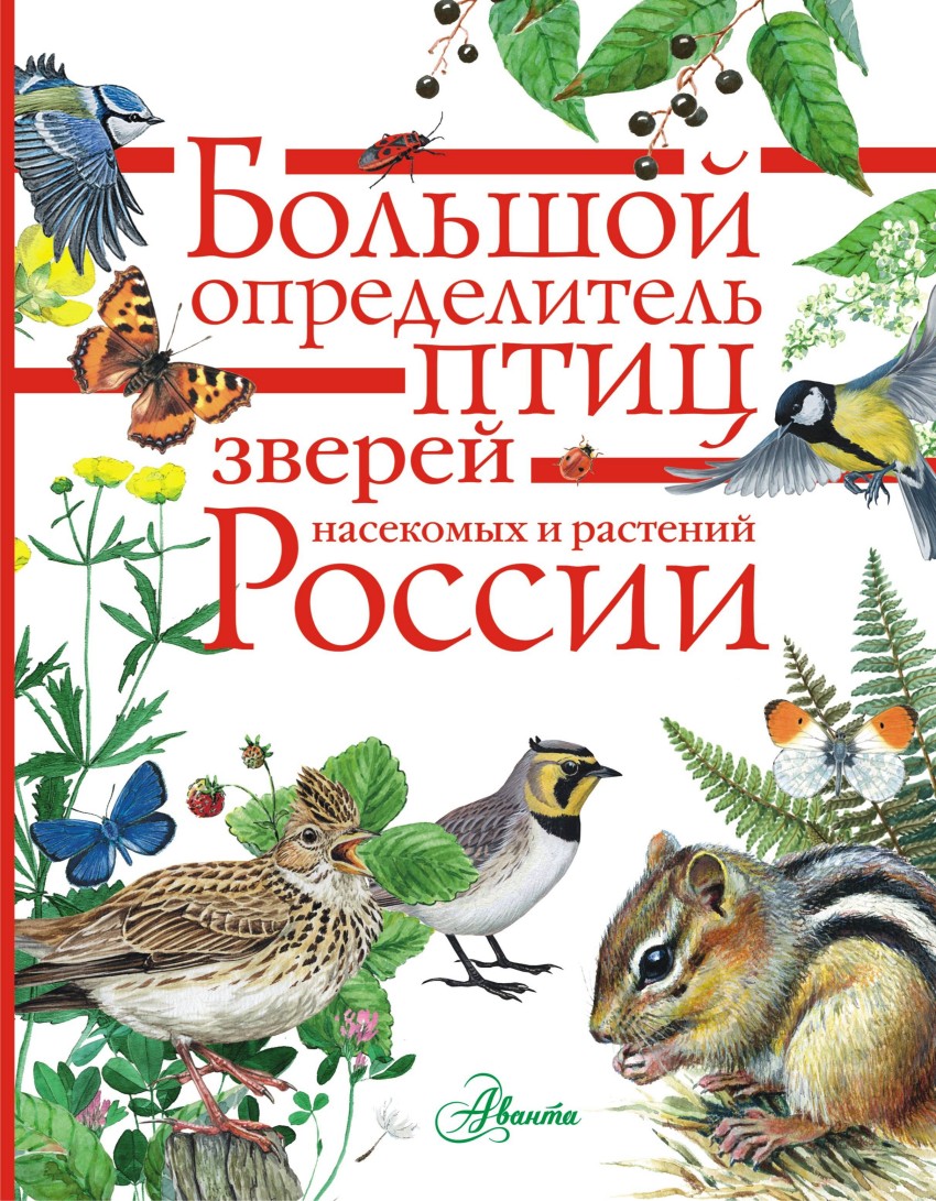 Большой определитель зверей, амфибий, рептилий, птиц, насекомых и растений России - купить в магазине Кассандра, фото, 9785171021528, 