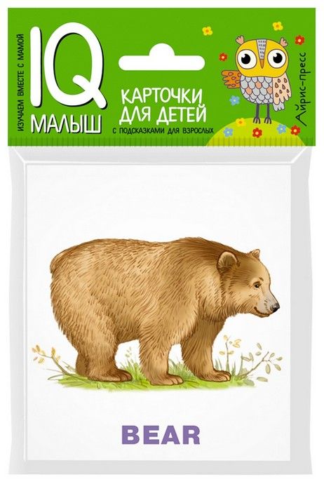 Умный малыш. ENGLISH. Зоопарк - купить в магазине Кассандра, фото, 9785811266111, 