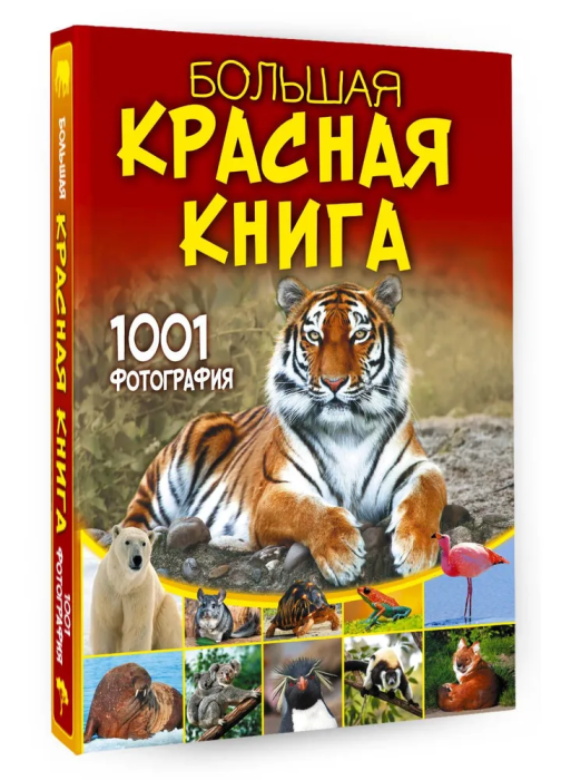 Большая красная книга. 1001 фотография - купить в магазине Кассандра, фото, 9785171578947, 