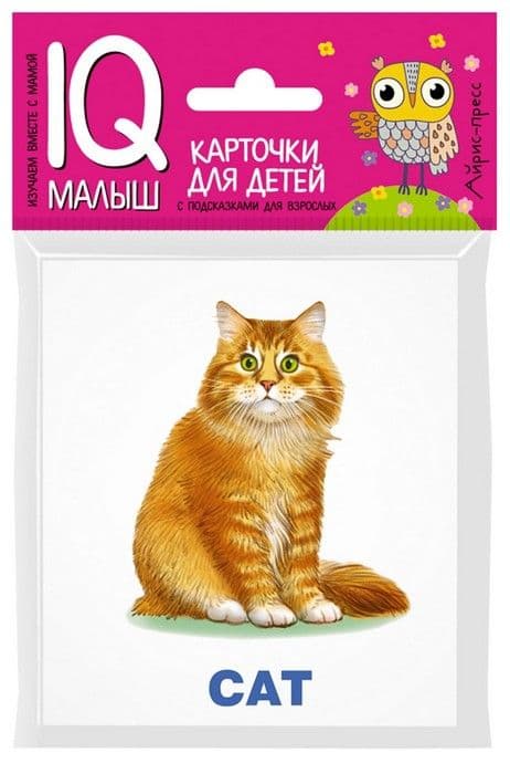 Умный малыш. ENGLISH. Домашние питомцы. Набор карточек для детей. - купить в магазине Кассандра, фото, 9785811266630, 
