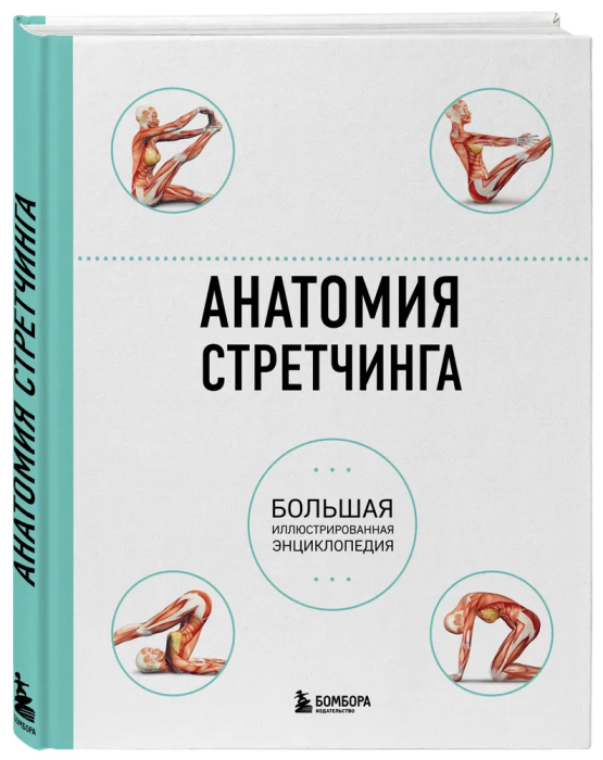 Анатомия стретчинга. Большая иллюстрированная энциклопедия - купить в магазине Кассандра, фото, 9785699818389, 