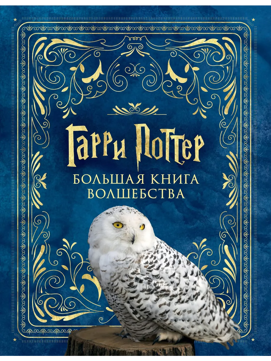 Гарри Поттер. Большая книга волшебства - купить в магазине Кассандра, фото, 9785171625177, 