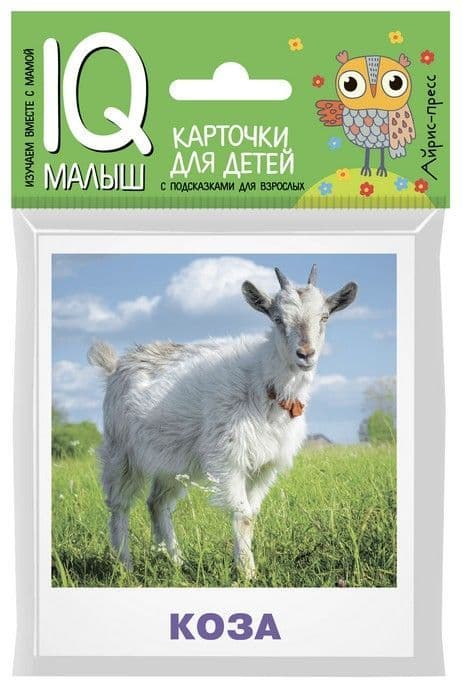 Умный малыш. Домашние животные - купить в магазине Кассандра, фото, 9785811265039, 