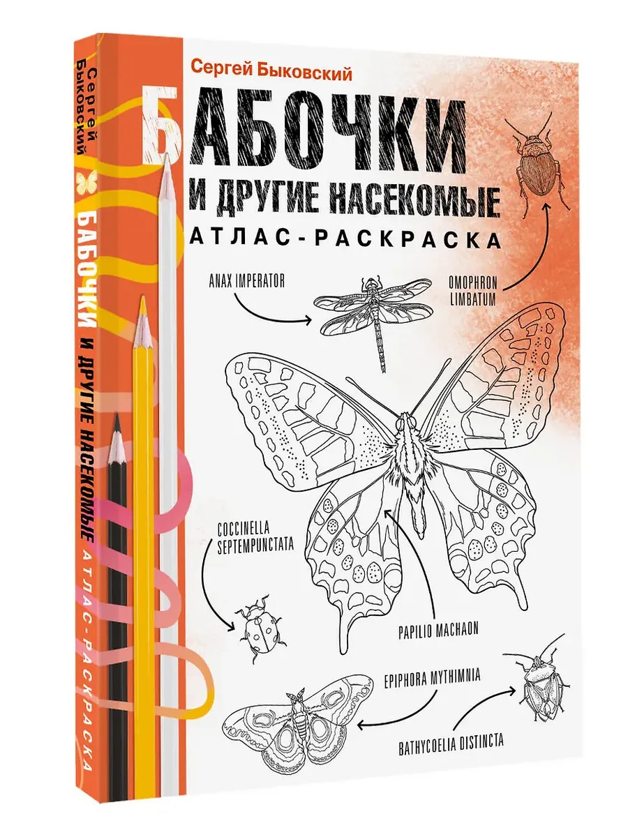 Бабочки и другие насекомые. Атлас-раскраска - купить в магазине Кассандра, фото, 9785171599416, 